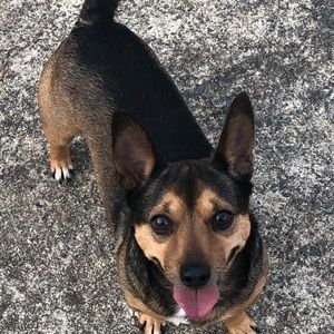 Meet your Posher, Gabrielle